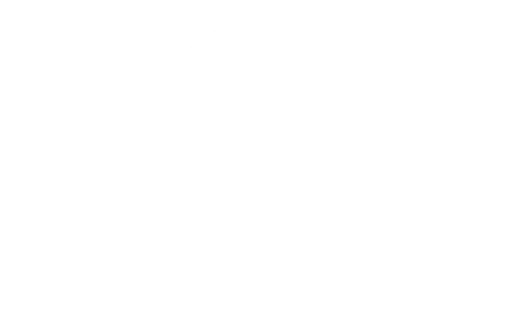 Logo White